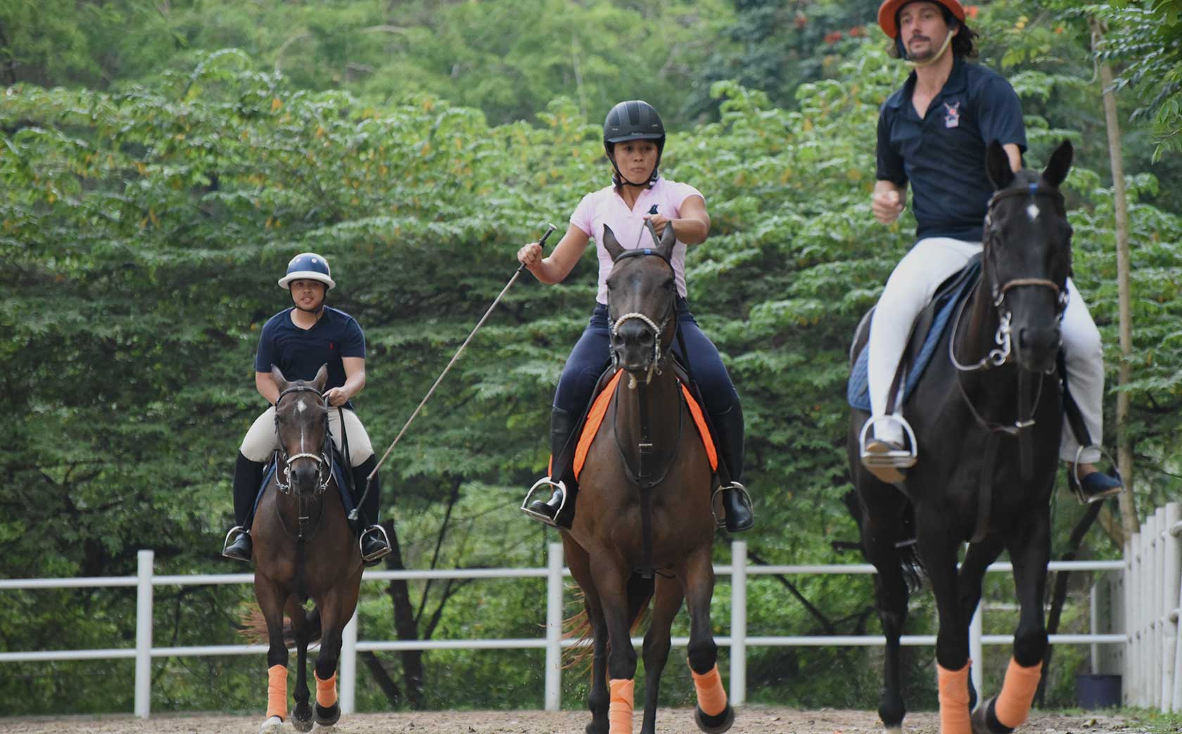 colts polo and riding lessons