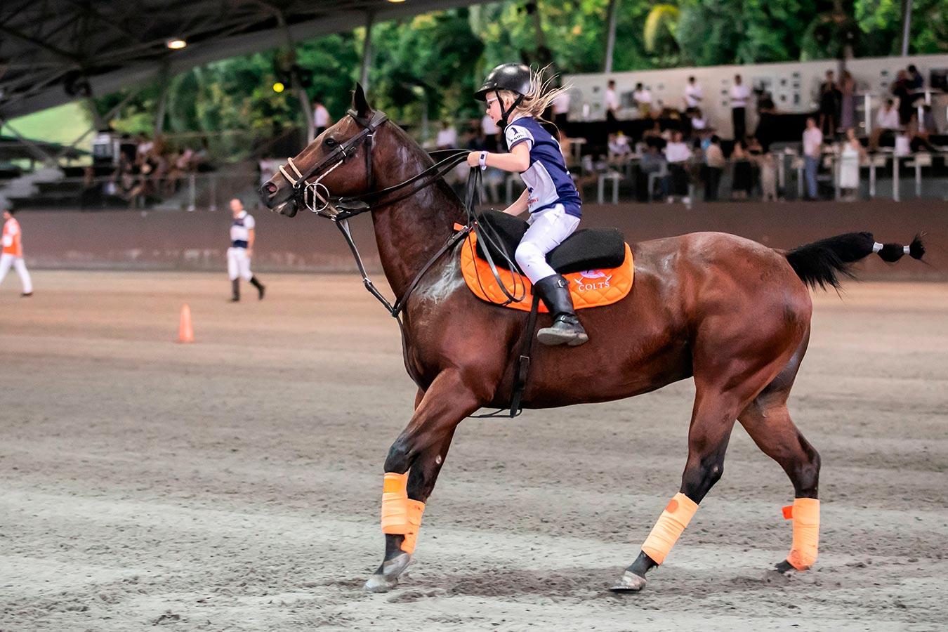 colts polo and riding lessons