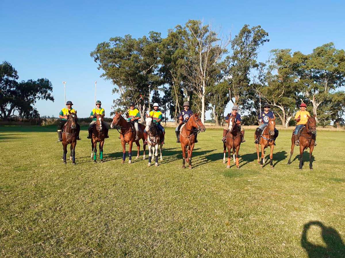 colts Polo Holidays