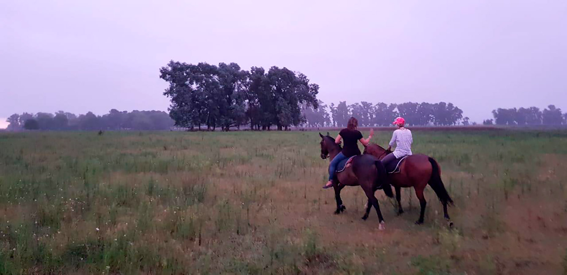 colts Polo Holidays