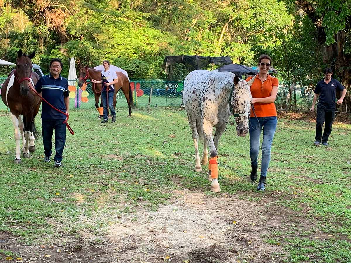 colts Polo Experiences Executive Polo Programs