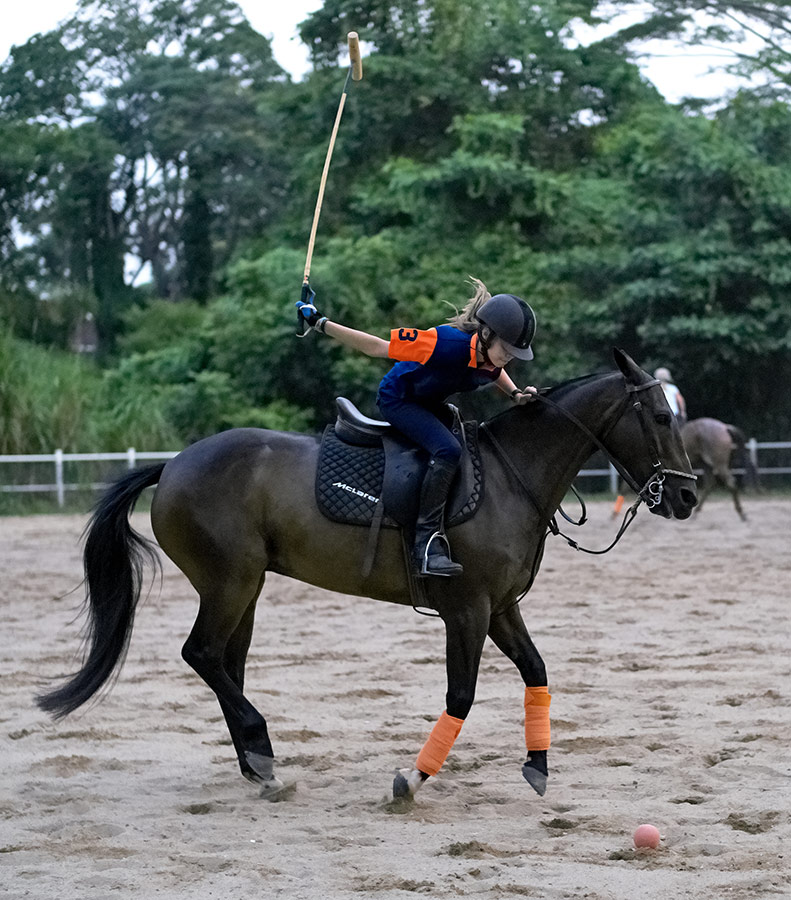 colts polo and riding lessons