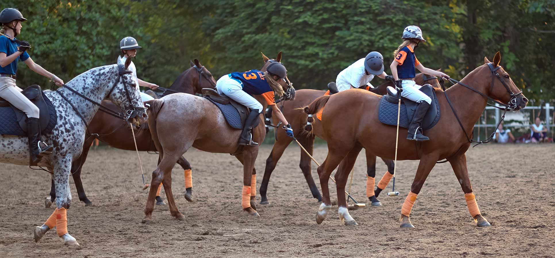 colts Polo Colts Family Cup