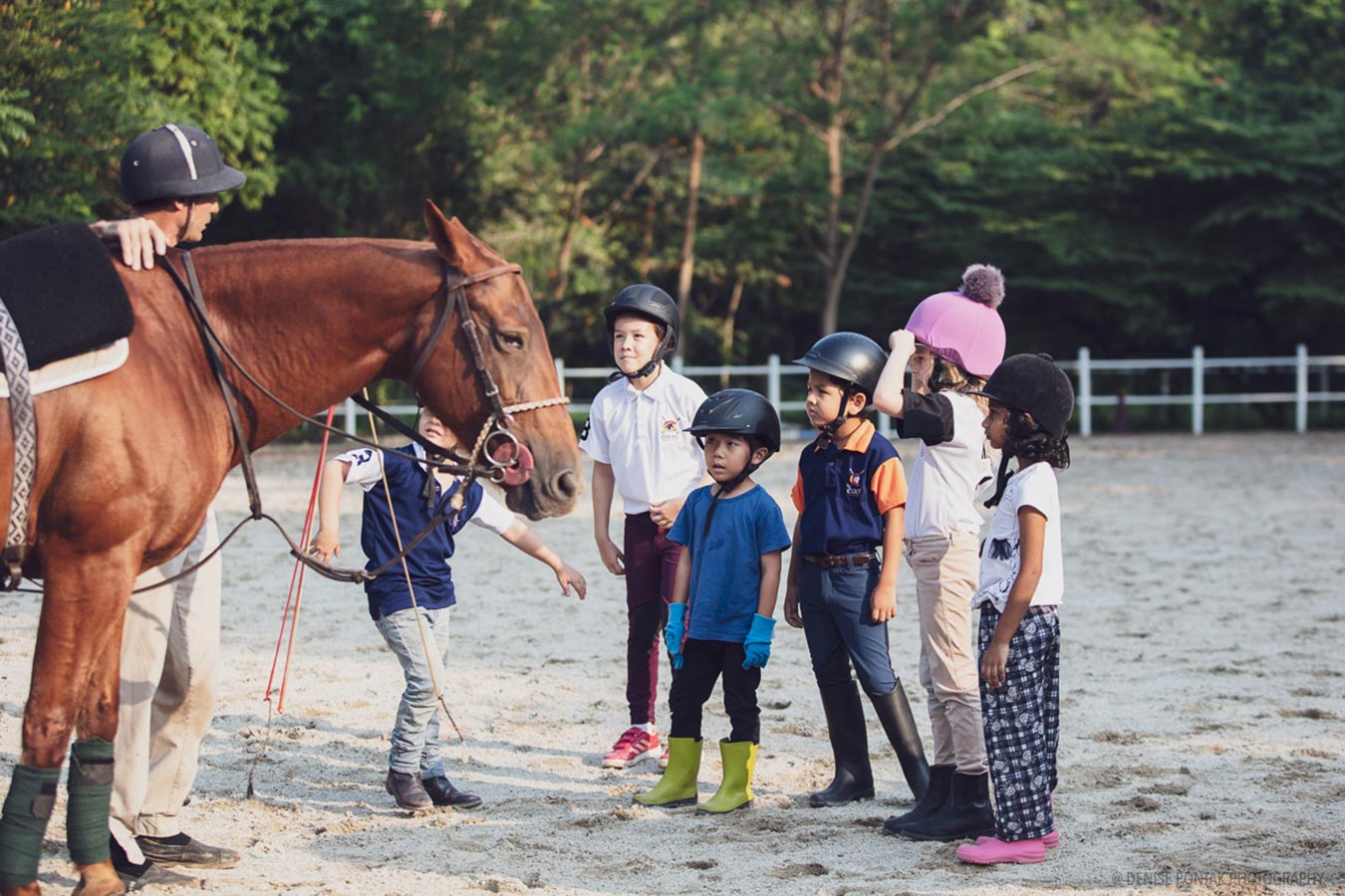 colts polo and riding lessons