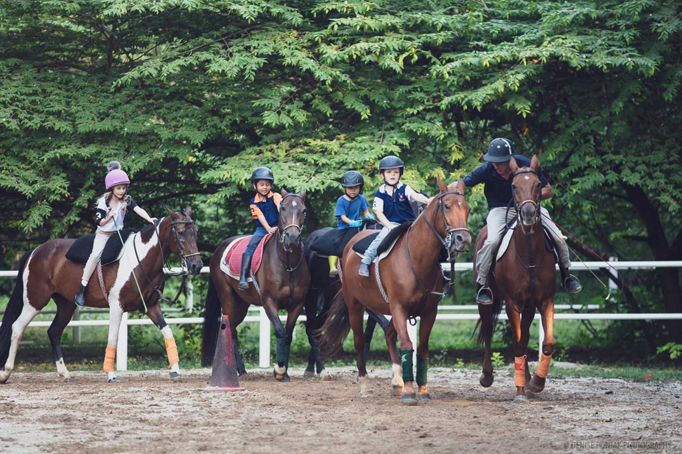 colts polo and riding lessons